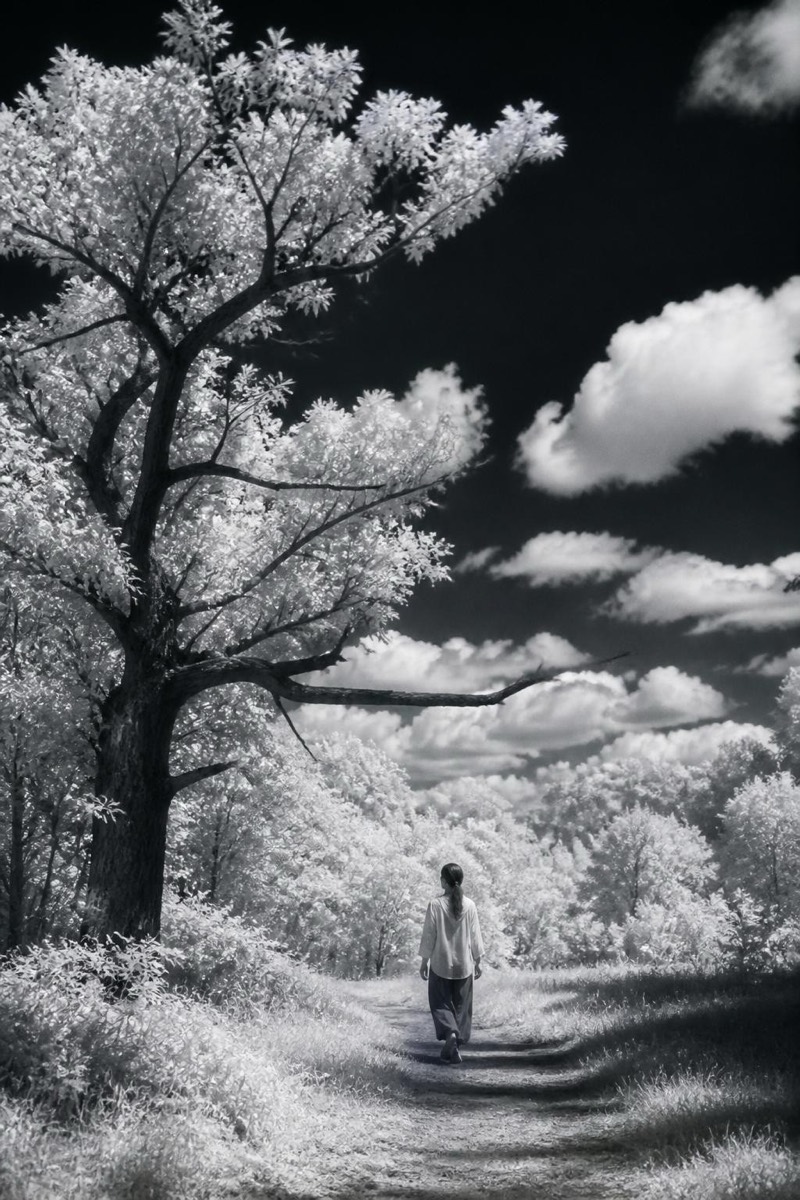 Infrared — Black & White AI filter example